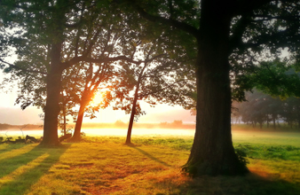 Klein Warnsborn wonen nabij CTO Papendal