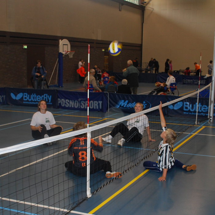 Zitvolleybal